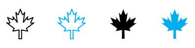 Autumn Leaf Canadian Icon vector