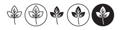 Basil Icon vector