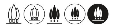 Cypress Tree Icon vector