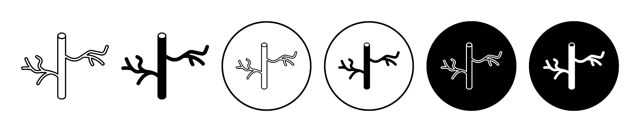 Human Artery Icon vector