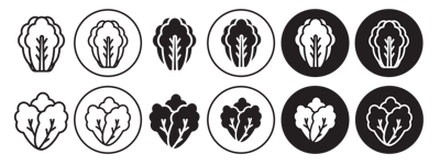 Lettuce Icon vector