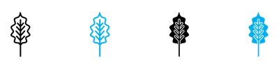 Oak Leaf With Veins Icon vector
