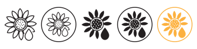 Sunflower Oil vector