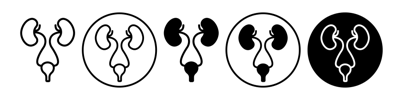 Urology Icon vector